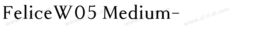 FeliceW05 Medium字体转换